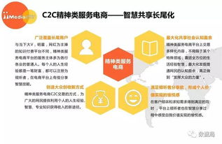 教育與精神消費雙驅(qū)動 2017上半年中國精神類服務電商市場發(fā)展洞察